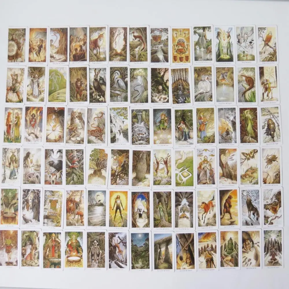 بطاقات أوراكلز الجديدة على سطح - مراجعة Board Game Wild Wild وسعره