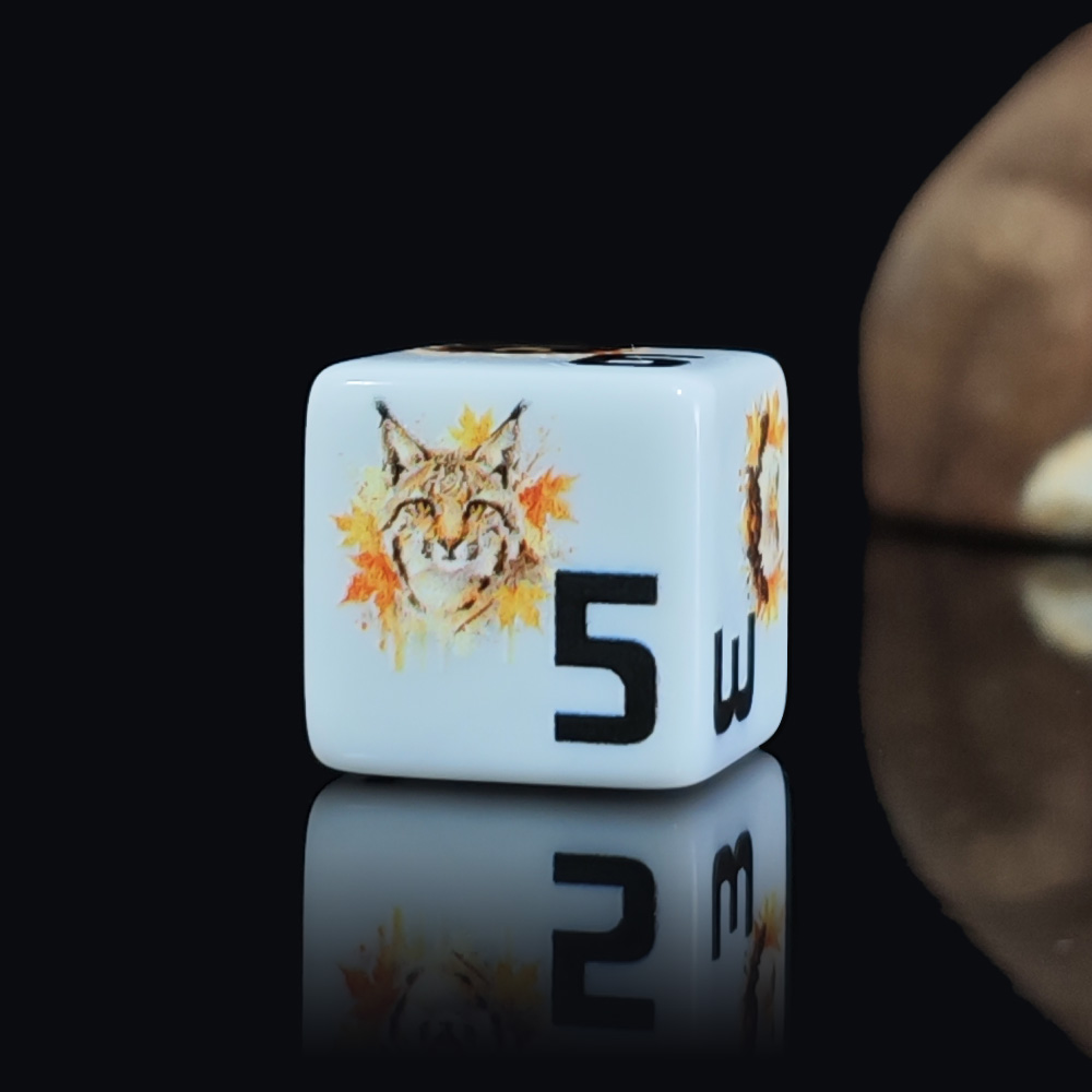 12 قطعة من مكعبات الأكريليك D6 - مراجعة Board Game Wild Wild وسعره